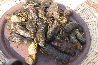 ou manger du bon poission à marseille