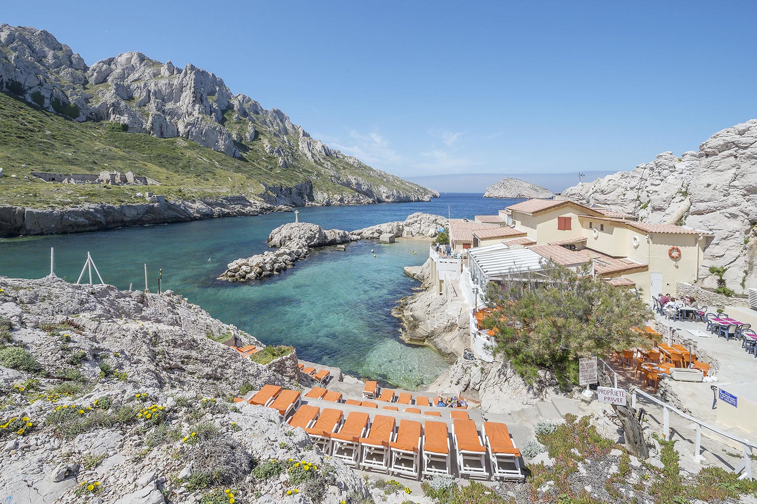 Réservation poisson marseille La Baie des Singes